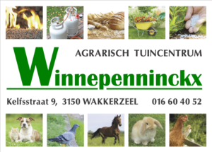 Kaartje Winnepenninckx