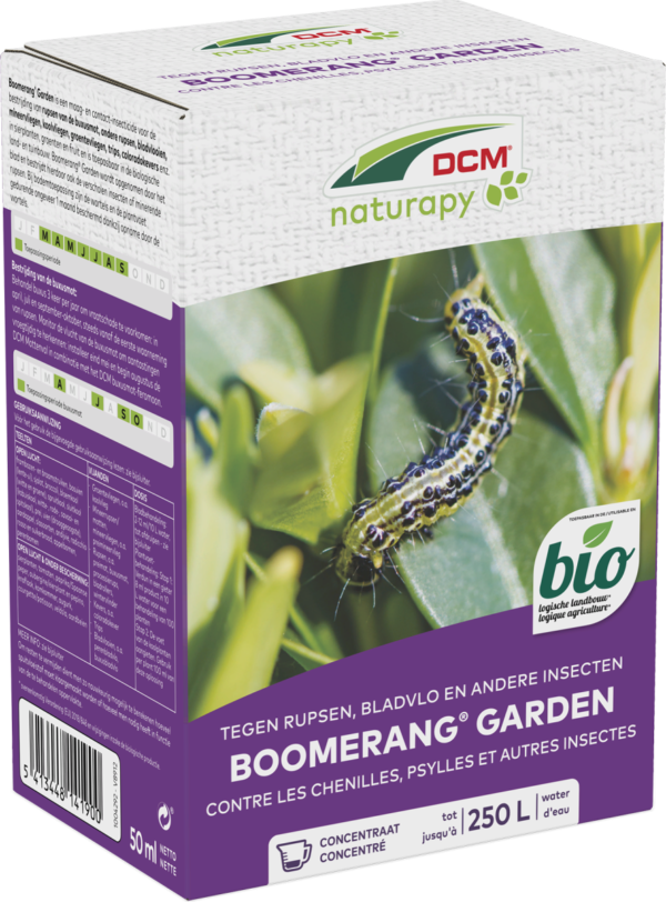 DCM BOOMERANG GARDEN - SIERTUIN 50ML