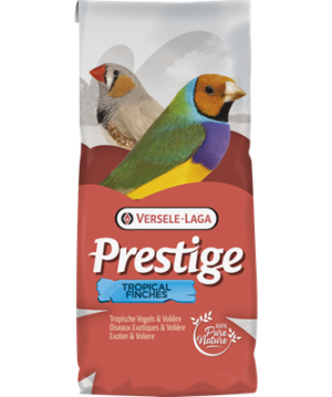 Tropische Vogels 20kg