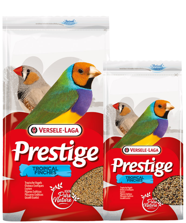 Tropische Vogels 1kg