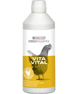 VitaVital 500ml