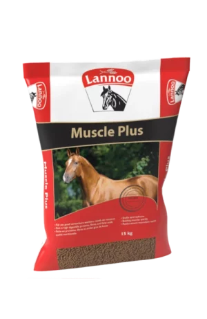 Lannoo Muscle plus 15 kg