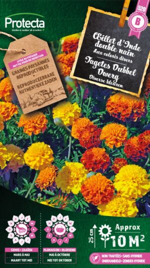 Tagetes Dubbel Dwerg gemengd