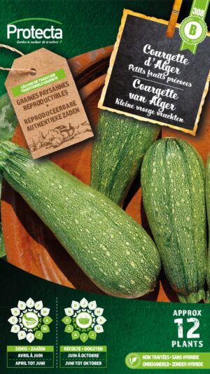 Courgette kleine groene van Alger