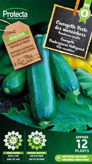 Courgette Donkergroene Vollegrond