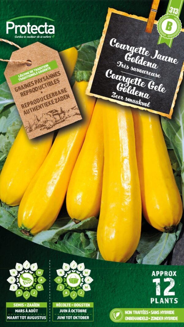 Courgette Gele Goldena