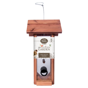 GREENLINE SEED MULTI FEEDER