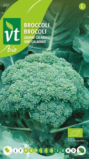 VT BROCCOLI GROENE CALABRESE BE-BIO-01