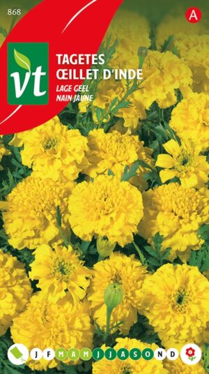 VT TAGETES LAGE GEEL