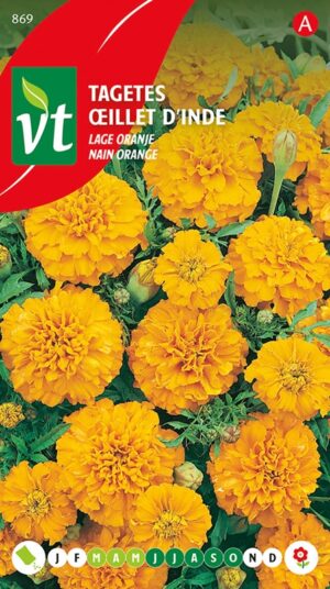 VT TAGETES LAGE ORANJE