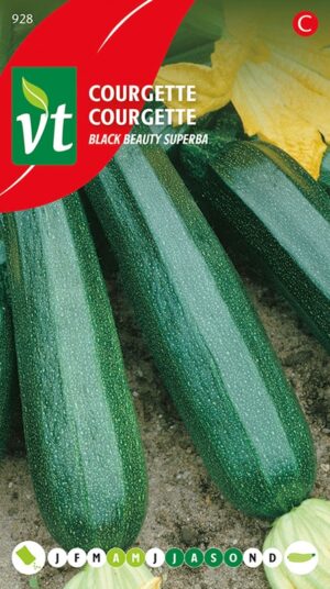 VT COURGETTE BLACK BEAUTY SUPERBA