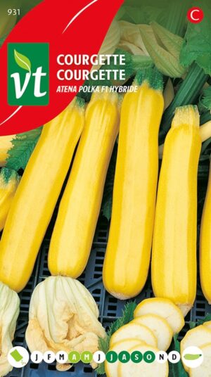 VT COURGETTE ATENA POLKA