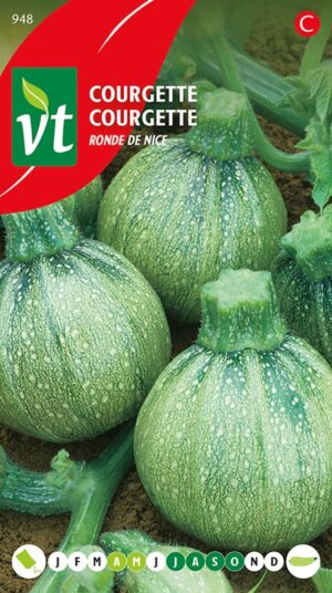 VT COURGETTE RONDE VAN NICE