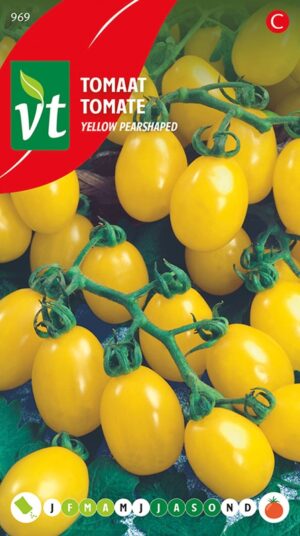 VT TOMAAT YELLOW PEARSHAPED