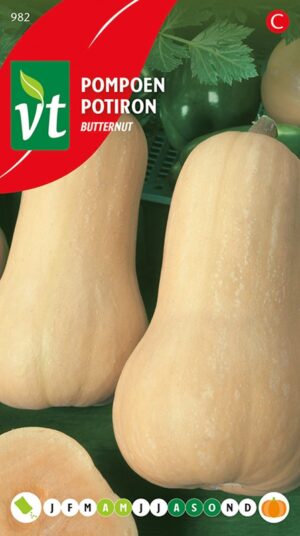 VT POMPOEN BUTTERNUT