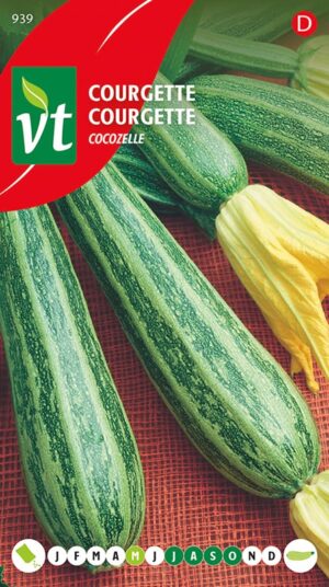 VT COURGETTE COCOZELLE