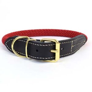 Explor Forest halsband M - 41-49cm/14mm rood