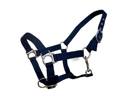 S2G HALSTER STANDAARD HAFLINGER BLAUW