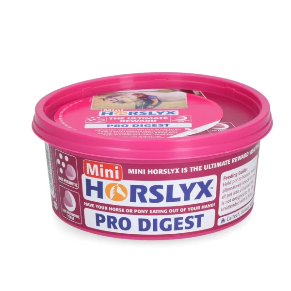 Horslyx Mini Pro Digest 650g