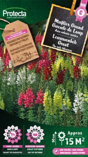 Leeuwenbek Groot gemengd