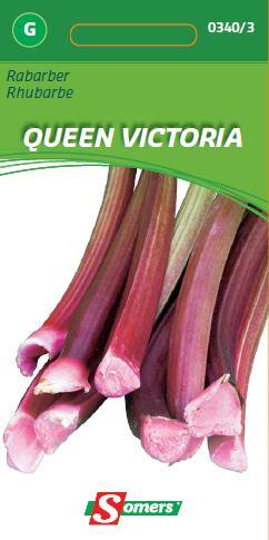 Rabarber Queen Victoria
