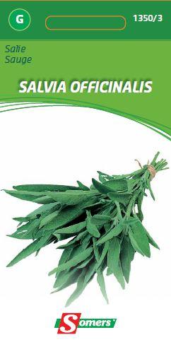 Salie