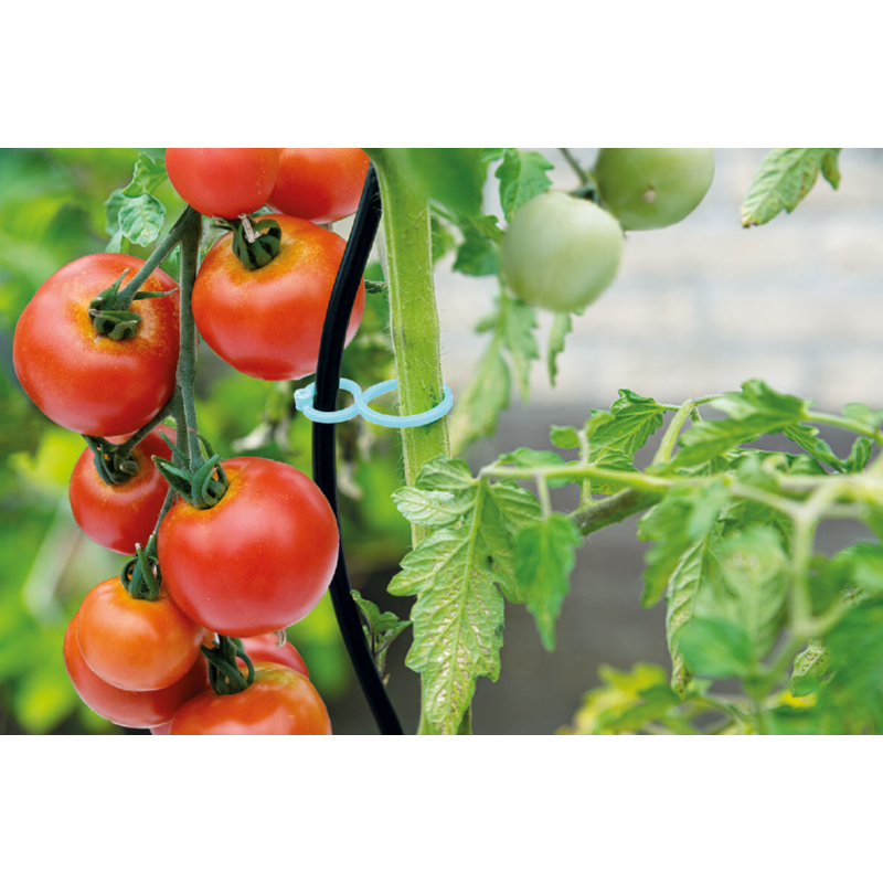 Sogo tomaten clips 15st