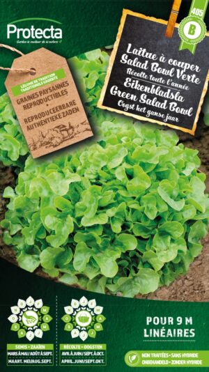Eikenbladsla Groene Salad Bowl