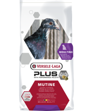 Mutine plus 20kg