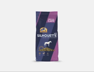 Silhouette 20kg