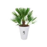 loft urban rond hoog 35cm wit