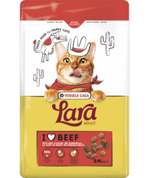 Lara Adult with Beef Flavour 950g