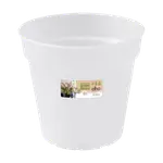 green basics orchidee 17cm transparant