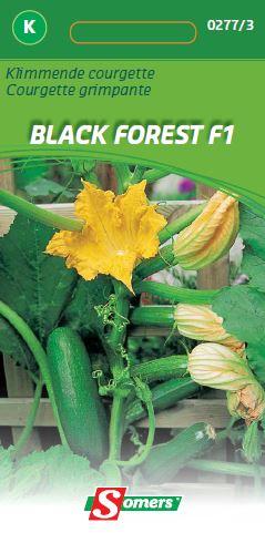 Courgette Black Forest (Klimmend) F1