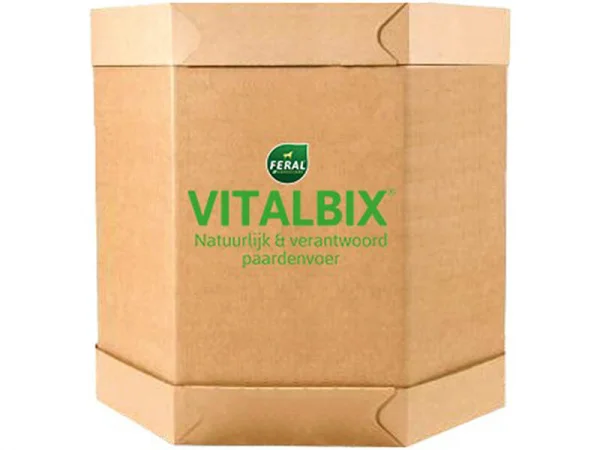 XL Box Vitalbix Active+ 400 kg