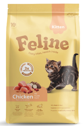 FELINE KITTEN <1Y 1,5 KG