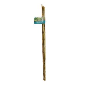 Sogo bamboestok 240cm 18/20 10st