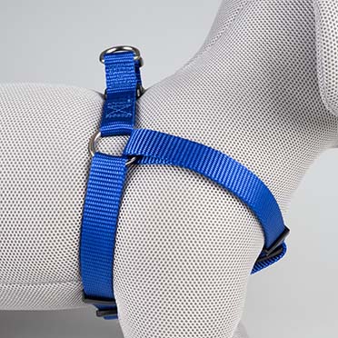 Harnas Step in Fashion blauw