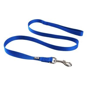 Leiband Fashion Blauw