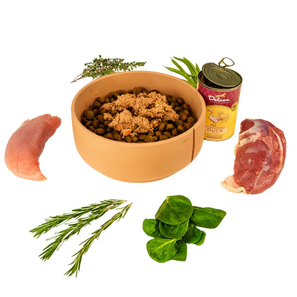 Delcon Wet Dog Food Duck & Turkey 395gr