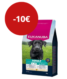Eukanuba dog adult large breed chicken 12kg