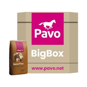 Pavo Basic+ Big Box 725