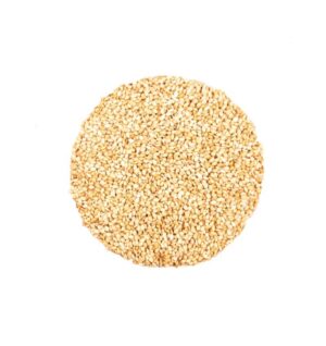 SESAMZAAD GEROOSTERD ALL NUTS 200g
