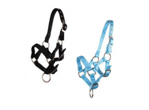 S2G HALSTER FALABELLA